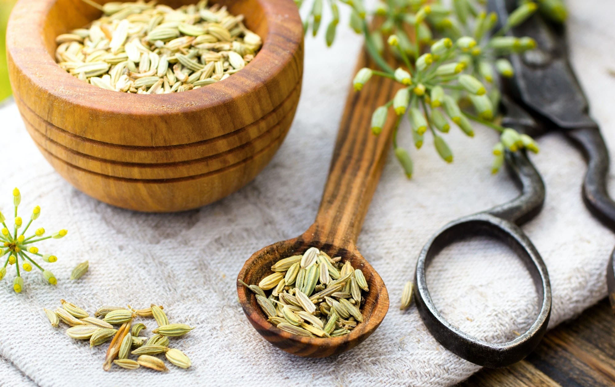 Fennel Seeds