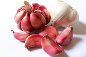 garlic for curries