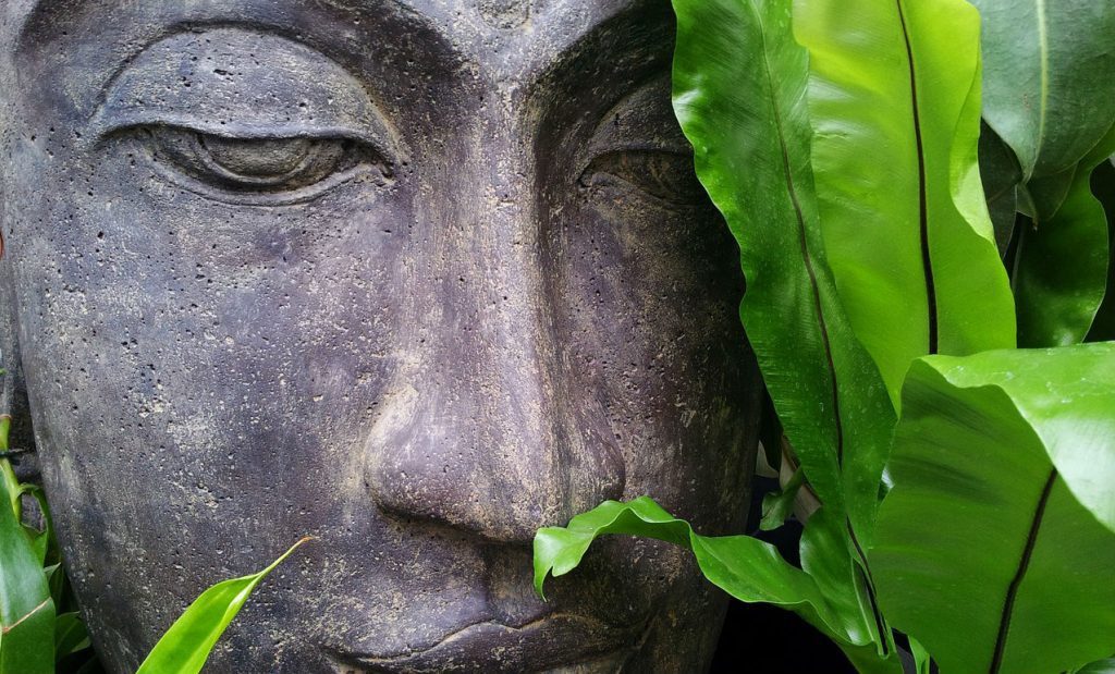 thai healing curry thai healing curry