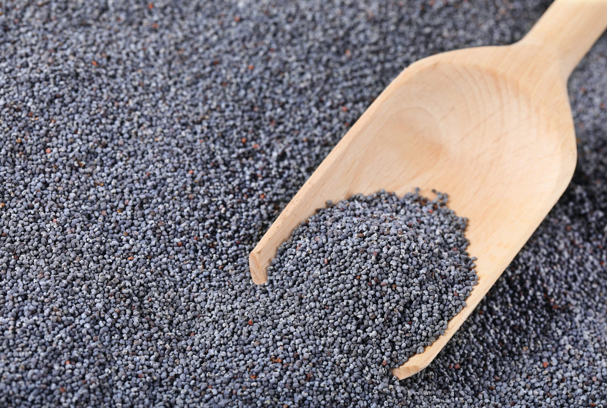 whole poppy seeds