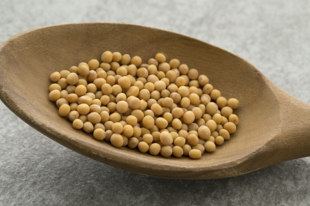 Yellow mustard seeds on a wooden spoon