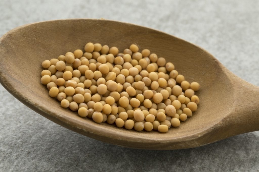 Yellow mustard seeds on a wooden spoon Yellow mustard seeds on a wooden spoon