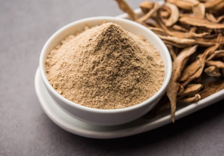 Amchoor Powder